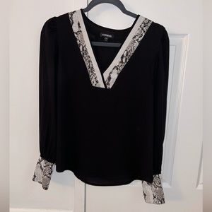 Express Spring Long Sleeve Light V-Neck Blouse